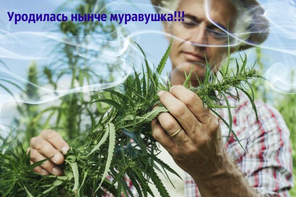 Кракен зеркало рабочее на сегодня