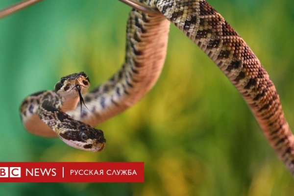 Кракен вход