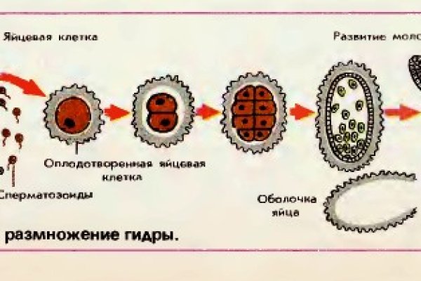 Ошибка на сервере кракен