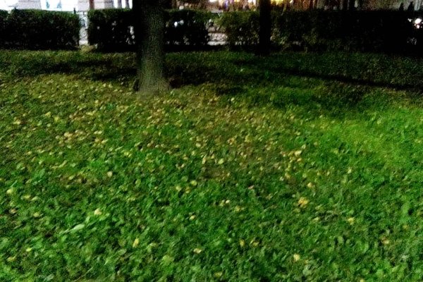 Кракен шоп нарк