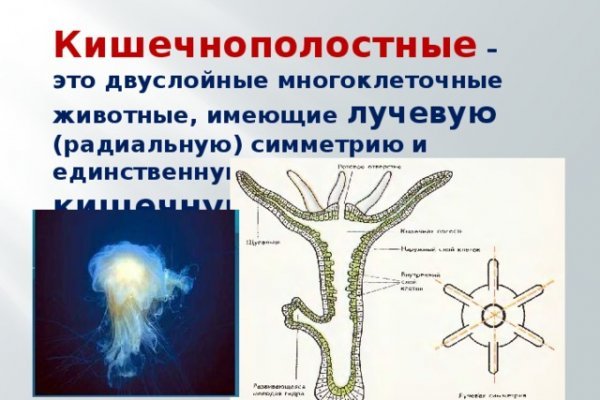 Kraken актуальные зеркала krakentor site
