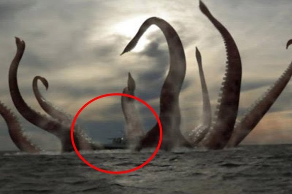 Кракен мониторинг ссылок kraken torion