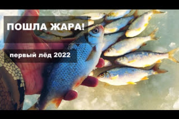 Кракен верное зеркало