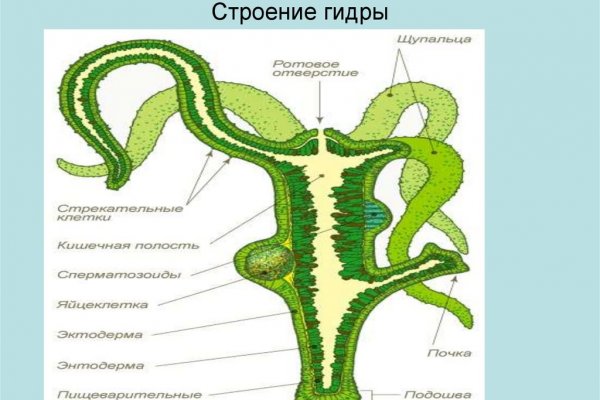Кракен картель
