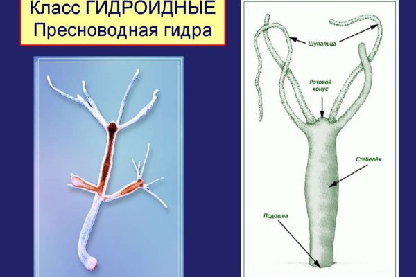 Кракен 22