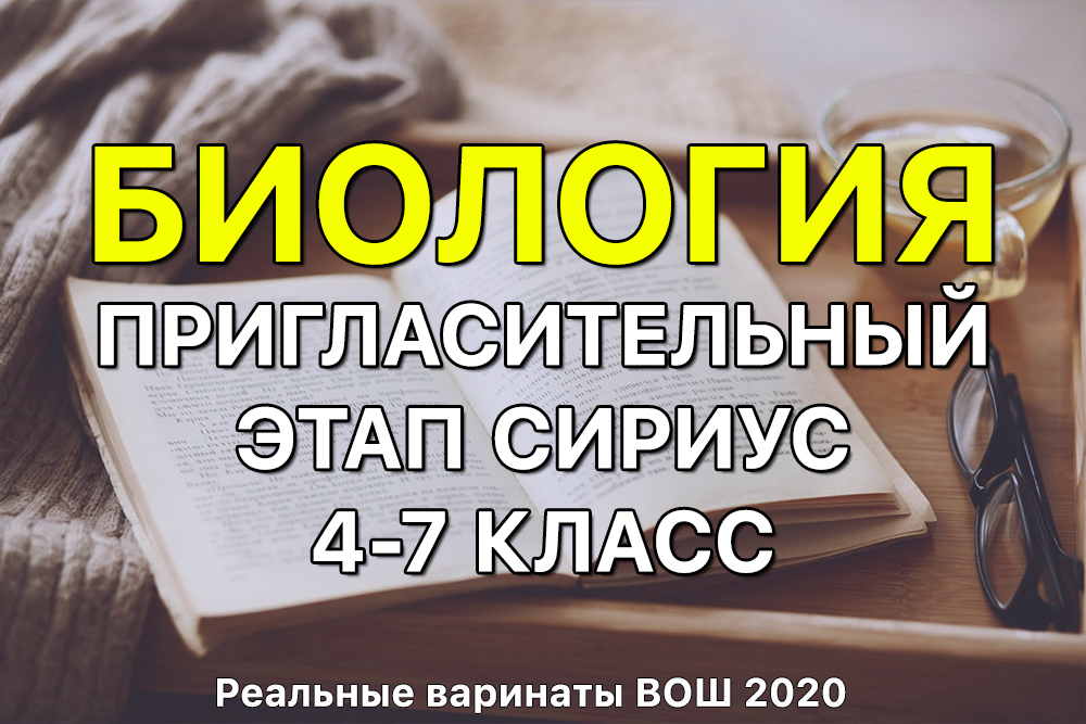 Кракен зеркала официальные
